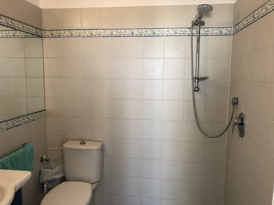 Parents shower bathroom