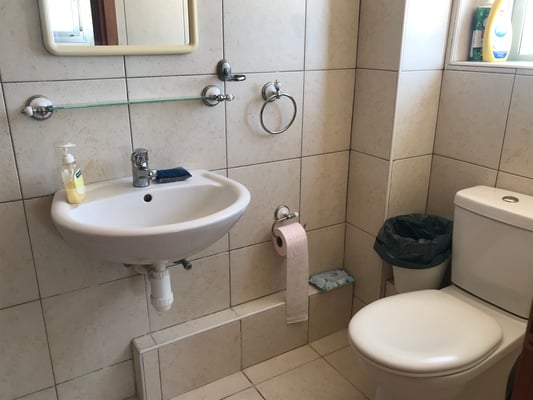 Parents shower bathroom