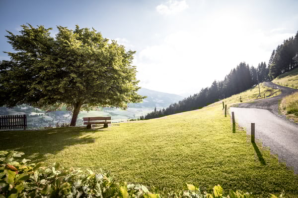 LindenBaum KandlerAlm