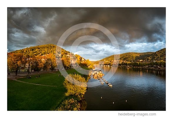 Archiv-Nr. hc2015157 | Neckarufer im Abendlicht