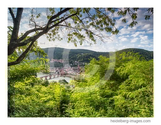 Archiv-Nr. hc2017130 | Blick vom Philosophenweg über der Altstadt 