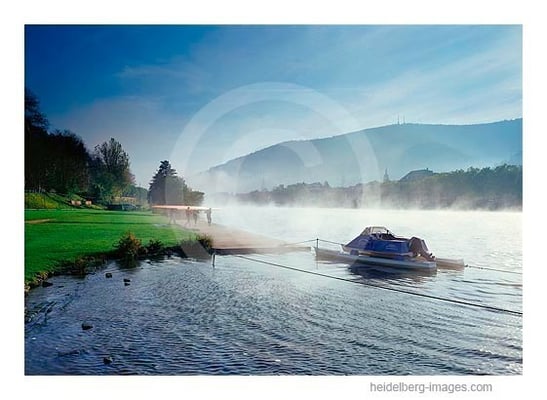 Archiv-Nr. hc2008134 | Kleine Wasserschachtel in Neuenheim im Morgendunst