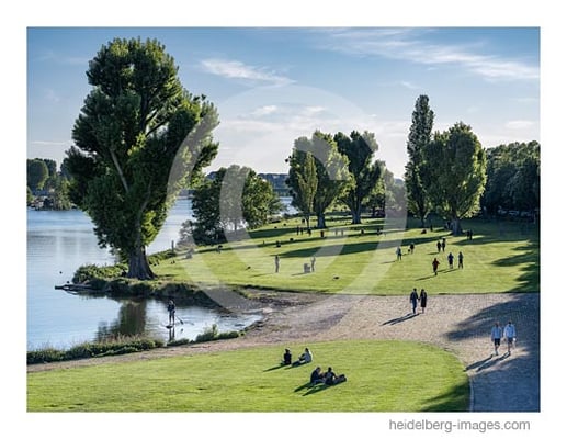 Archiv-Nr. hc2020137 | Sommer auf der Neckarwiese