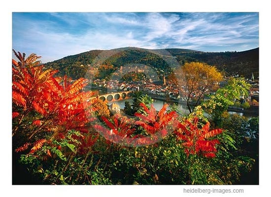 Archiv-Nr. hc2005166 | Herbstlicher Blick vom Philosophenweg