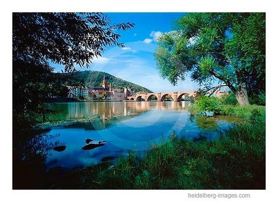 Archiv-Nr. hc2009194 | Neckarufer mit Blick auf die Alte Brücke und Altstadt 