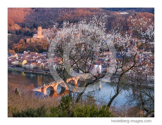 Archiv-Nr. hc2021111 |  Des Frühlings erster Gruß.