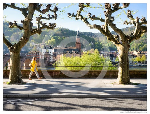 Archiv-Nr. hc2024112 | Die ersten Sonnenstrahlen über der Altstadt