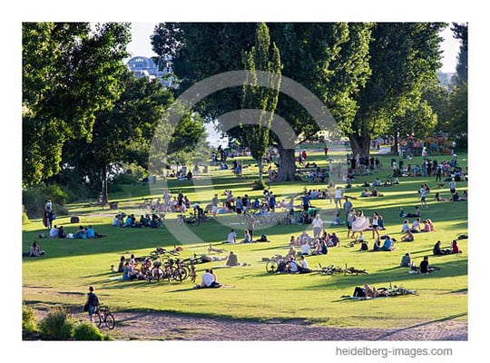 Archiv-Nr. hc2012140 | Neckarwiese im Sommer