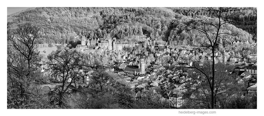 Archiv-Nr. h2015121 | Heidelberger Altstadt im Frühling