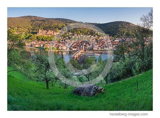 Archiv-Nr. hc2013122 | Frühlingserwachen in Heidelberg