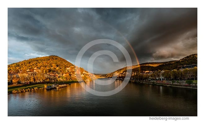 Archiv-Nr. hc2016149 | Herbstliches Neckarufer im Abendlicht