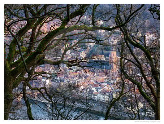 Archiv-Nr. hc2021143 | Blick auf die Heiliggeistkirche 