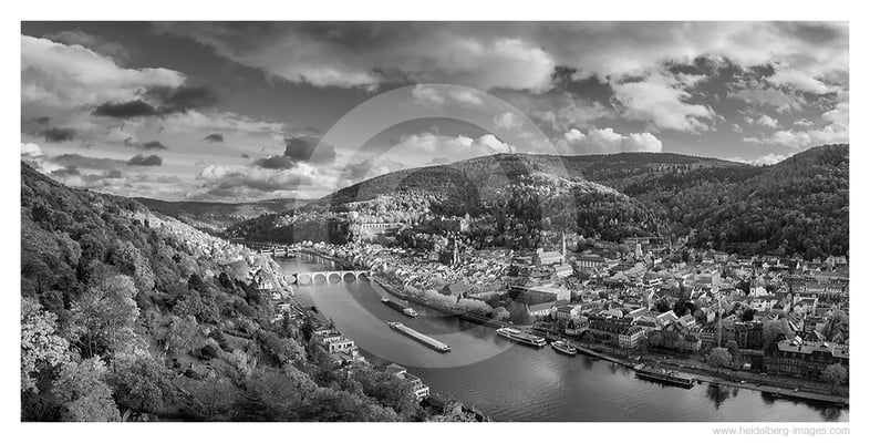 Archiv-Nr. h2022160 | Blick über den Philosophenweg auf die Altstadt