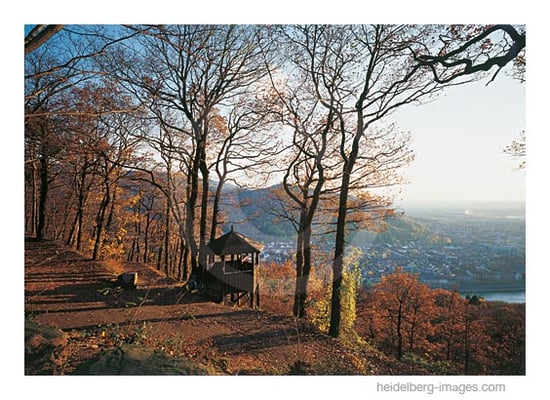 Archiv-Nr. hc2000168 / Fuchsrondell 