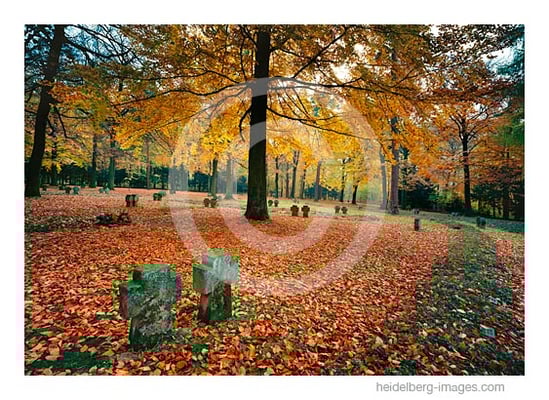 Archiv-Nr. hc2008136 / Ehrenfriedhof Heidelberg