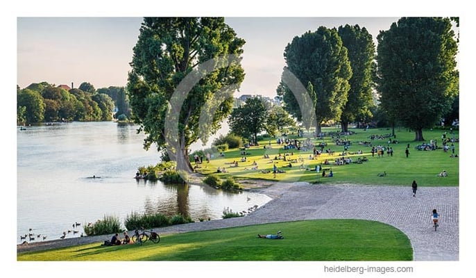 Archiv-Nr. hc2013132 | Neckarwiese im Sommer