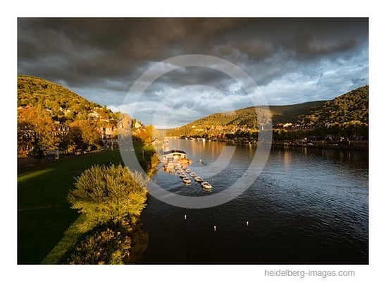 Archiv-Nr. hc2015158 | Neckarufer im Abendlicht