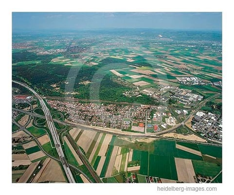 Archiv-Nr. LC10/6784C  Schwetzingen/Hirschacker