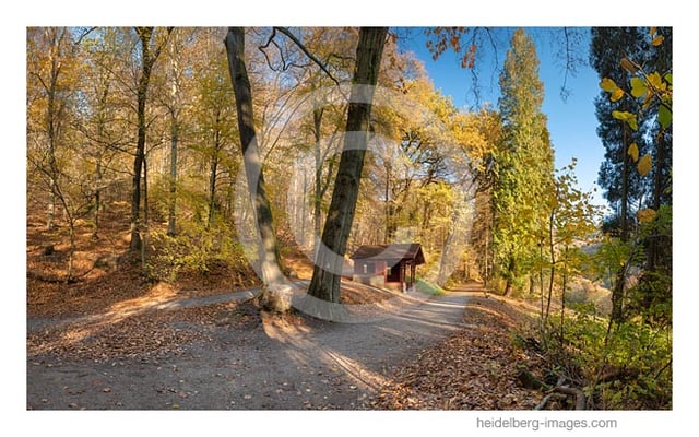 Archiv-Nr. hc2018140 | Wanderhütte auf dem Heiligenberg 