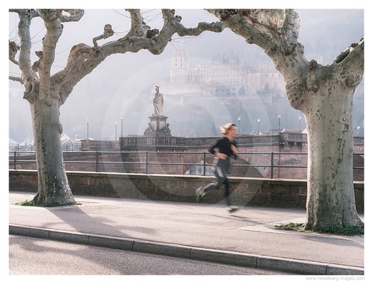 Archiv-Nr. hc2021150 | Blick auf das Schloss von der Neuenheimer Landstraße 