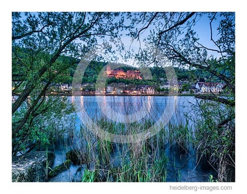 Archiv-Nr. hc2016115 | Blick vom Neckarufer auf die Altstadt mit Schloss 