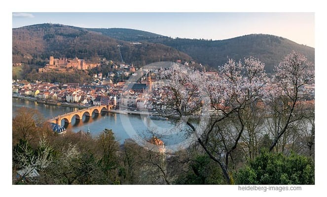  Archiv-Nr. hc2015119 | Frühlingserwachen über der Altstadt 