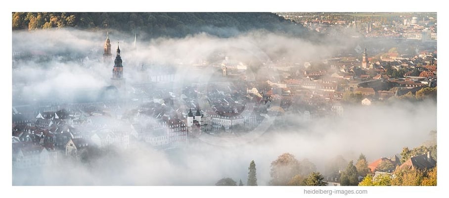 Archiv-Nr. hc2014184 | Heidelberg verhüllt im Morgennebel