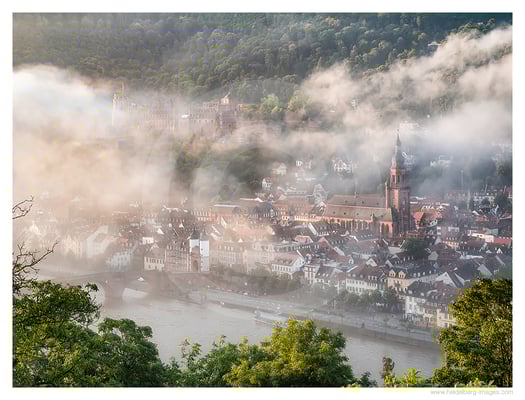 Archiv-Nr. hc2021205 | Nebliger Sommermorgen 