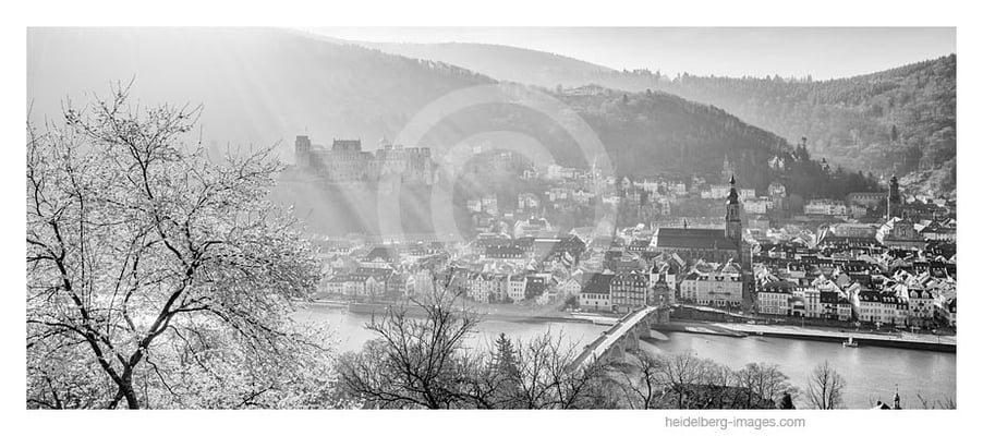 Archiv-Nr. h2014124 | Heidelberg, Morgennebel über der Altstadt