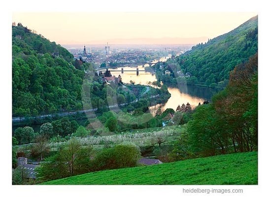 Archiv-Nr. hc2000127 | Blick vom Köpfel in die Rheinebene 