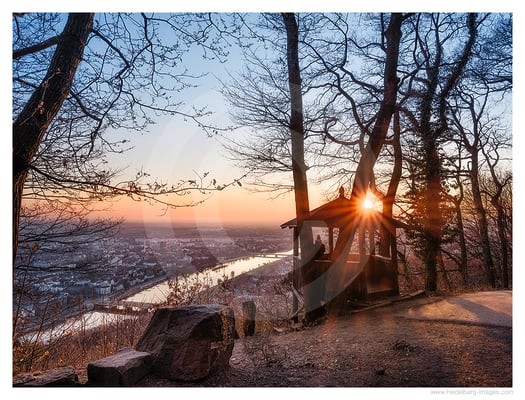 Archiv-Nr. hc2021146 | Fuchsrondell im Sonnenuntergang 