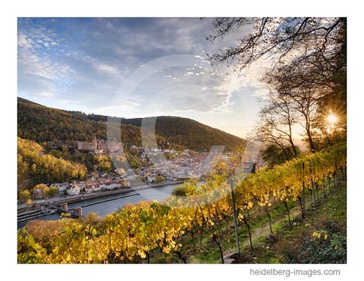 Archiv-Nr. hc2020168 | Blick aus den Weinbergen auf Heidelberg