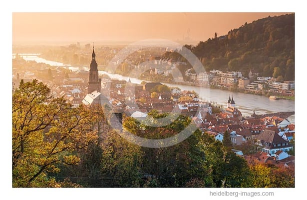 Archiv-Nr. hc2014174 / Auf der Scheffelstrasse 