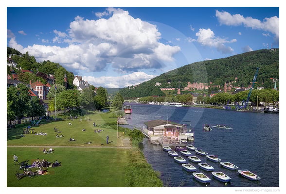 Archiv-Nr. hc2022120 | Sommer auf der Neckarwiese