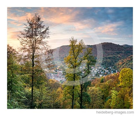 Archiv-Nr. hc2016146 | Heidelberger Schloss und Herbstwald