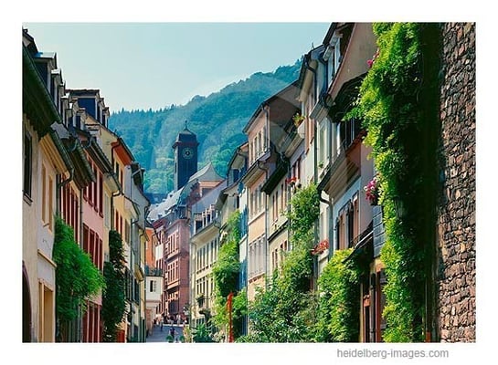 Archiv-Nr. hc2009198 | Grosse Mantelgasse im Sommer