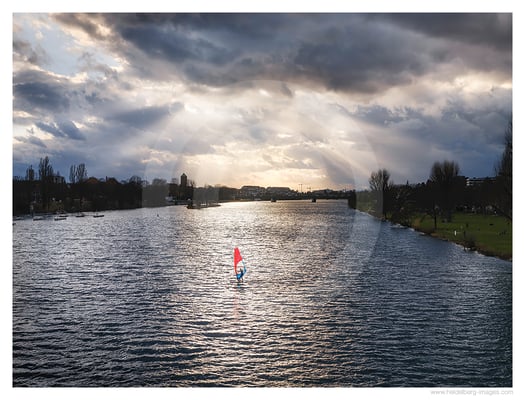 Archiv-Nr. hc2021147 | Windsurfer auf dem Neckar