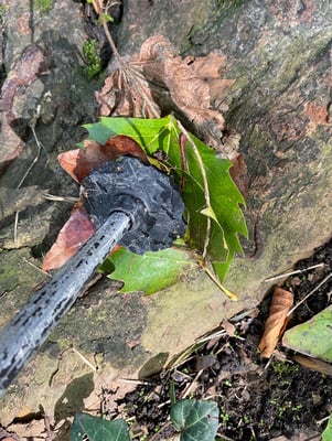 Zürcher Hans - Wanderstock