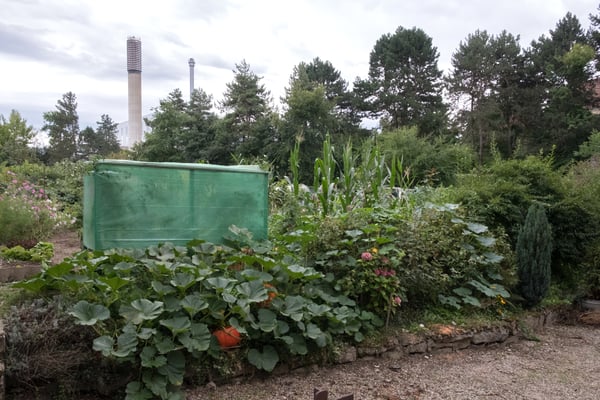 Posten_05_Colette Flück