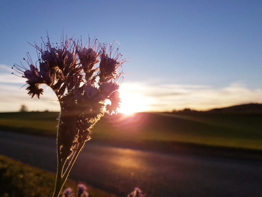 Foto: Juerg Kilchherr