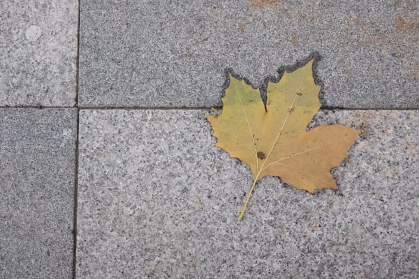 Posten_09_Colette Flück