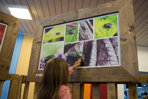 Foto: Markus Buess; Portfolio "Mouche" von Pascal Balmer