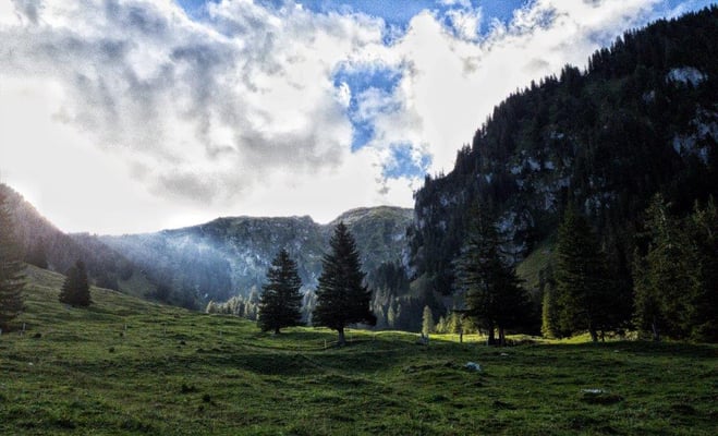 Foto: Katharina Etter