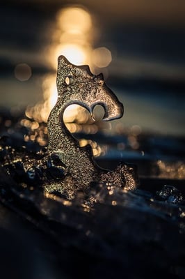 Drachenkönig - Jallard Stefan - Wettb. MACRO 2012