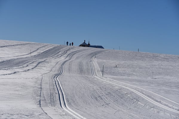 Santschi Werner - Schnee-Weg