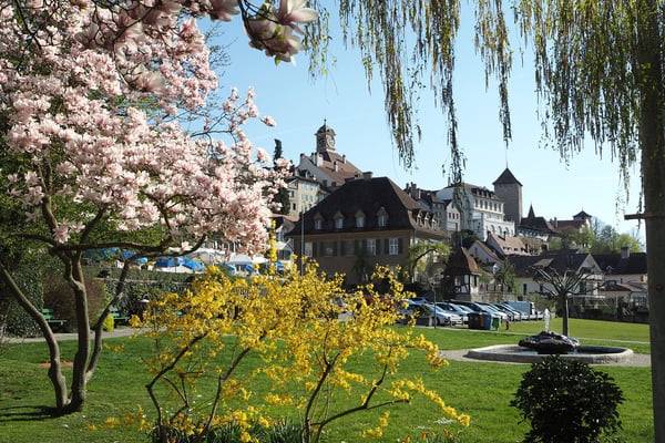 09 Merz René - Rathaus mit Blueten