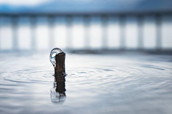 17 Etter Katharina - Sprudel I