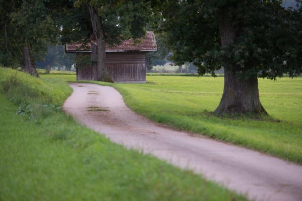 Buess Markus - Traumweg