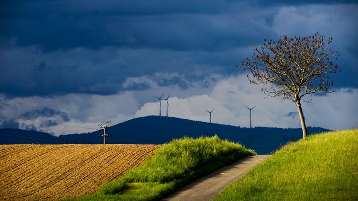 Kloiber Arno / Kontrast