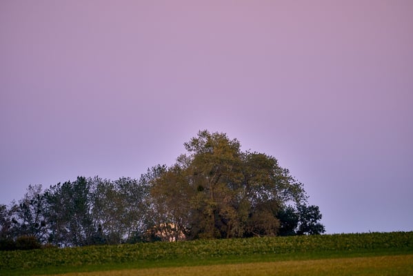 Supermond1 Mont Vully - Blumer Emil - FCM-HP